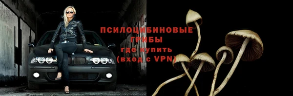 ALPHA-PVP Строитель