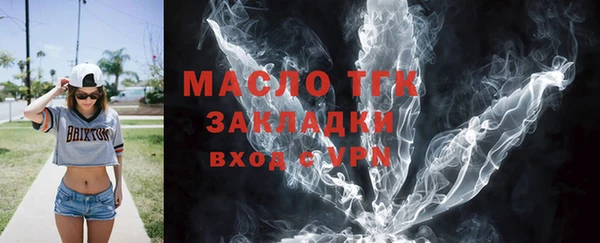 стаф Тайга