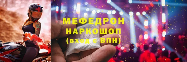 стаф Тайга