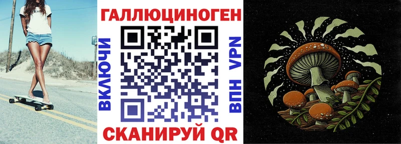 Псилоцибиновые грибы мицелий  Купить где  Знаменск 
